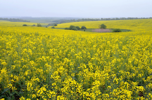 1718637 (a): :2560x1695